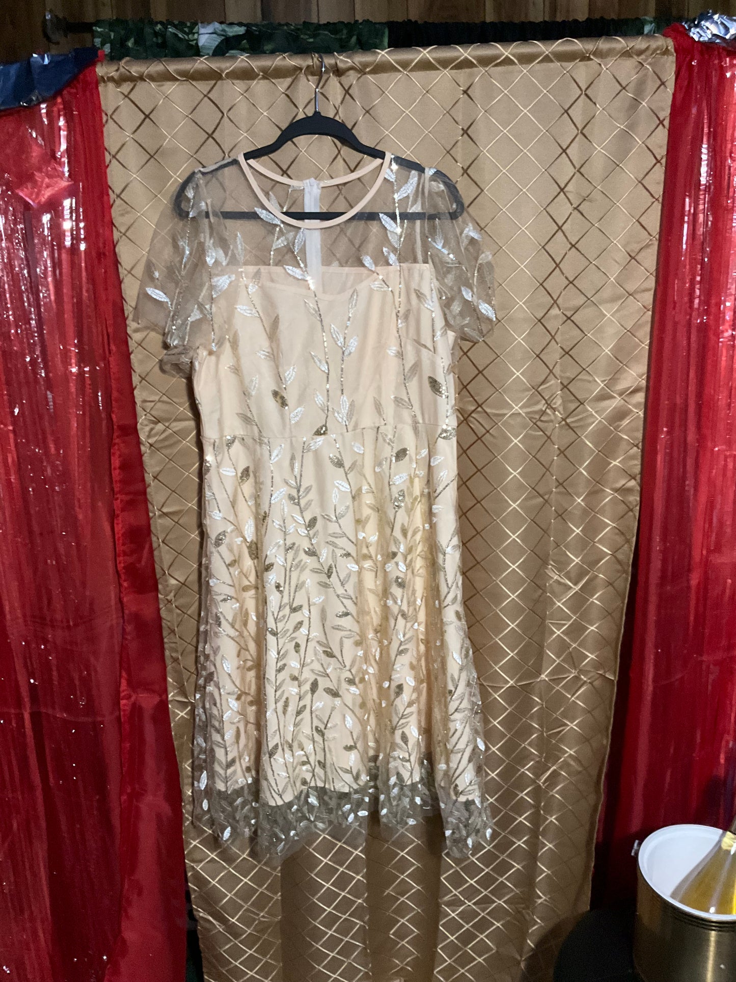 Champagne Sheer Mother of the Bride Dress