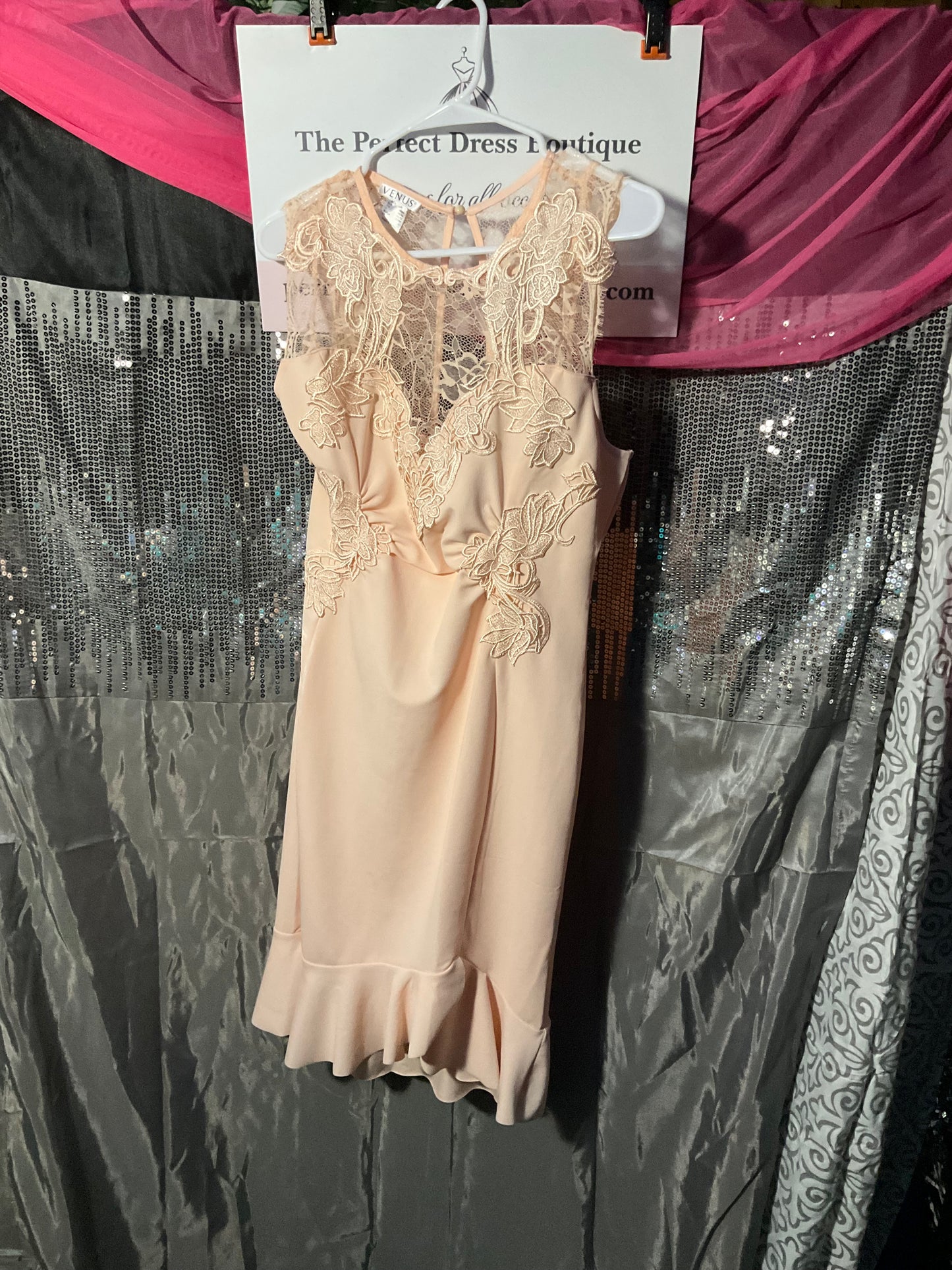 Beautiful Peach lace & sheer dress