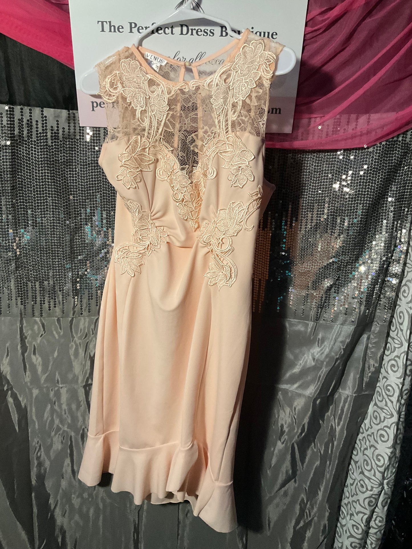 Beautiful Peach lace & sheer dress