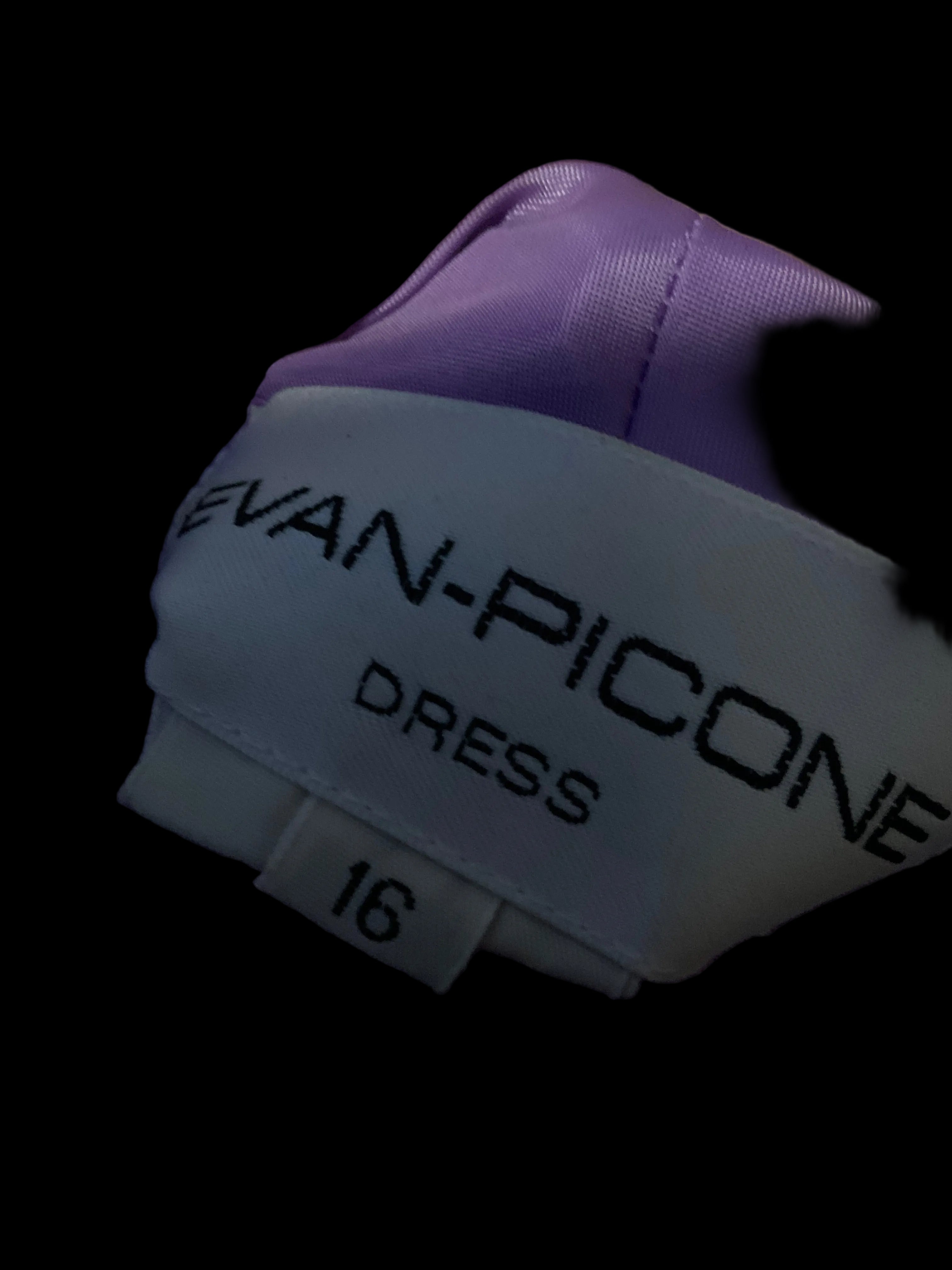 Evan-Piccone Dress