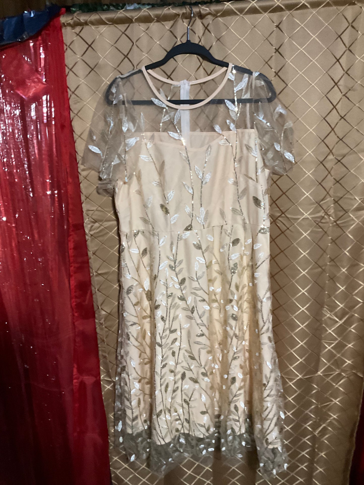Champagne Sheer Mother of the Bride Dress