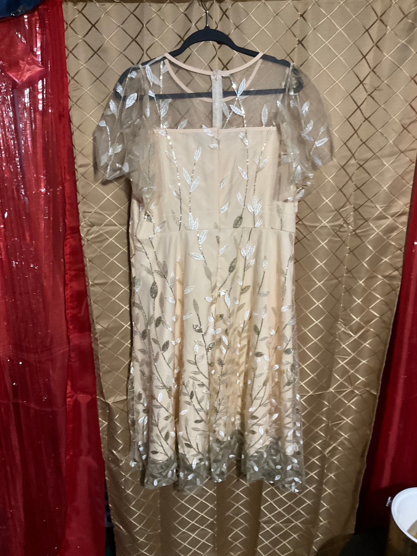 Champagne Sheer Mother of the Bride Dress