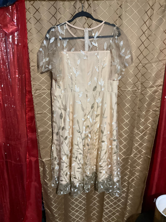 Champagne Sheer Mother of the Bride Dress