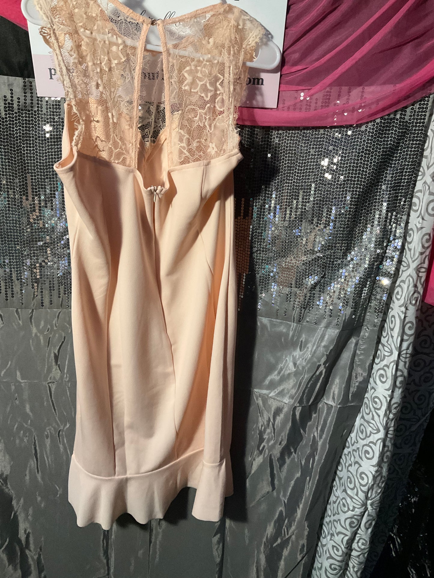 Beautiful Peach lace & sheer dress
